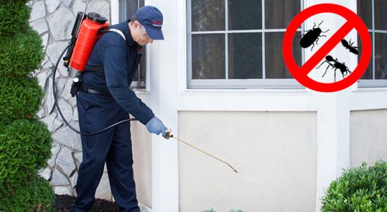 Sungurlu Gümüşkurt İlaçlama böcek ilaçlama ve haşere kontrolü — ilaclama-tr.com
